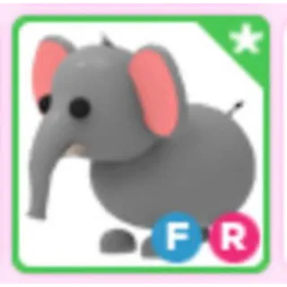 FR ELEPHANT CHEAPEST
