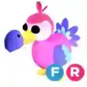 FR DODO CHEAP