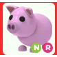 NR PIG NR