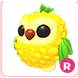 R PINEAPPLE OWL R