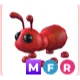 MFR ANT Cheap