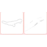 Adopt Me Bundle Cheap