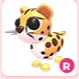 R Cheetah R