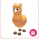 R ALPACA R