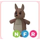 NFR KANGAROO Cheap +5 ENDANGERED EGG