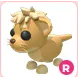 R LION CUB R