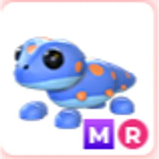 MR GECKO MR