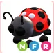 NFR LADYBUG