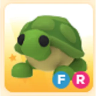 FR TURTLE
