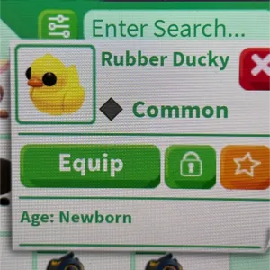 16 rubber ducky’s