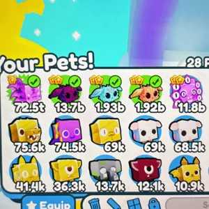 first 5 pets