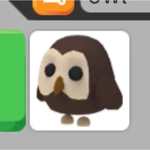 NO POTION OWL