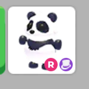 GIANT PANDA R