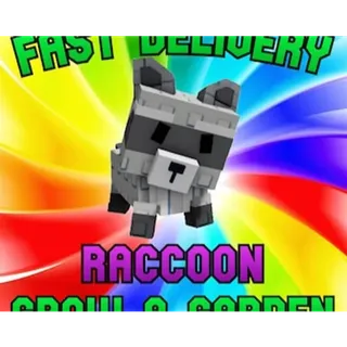 gag2 raccoon