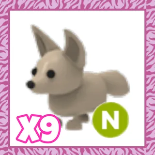 Pet | Neon Fennec Fox x9