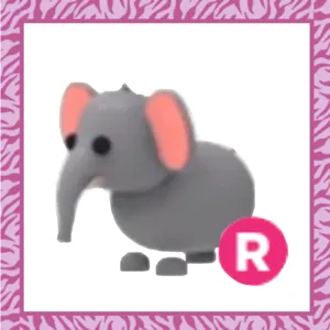 Pet | R Elephant