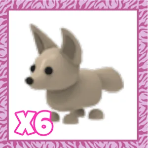 Pet | Fennec Fox x6
