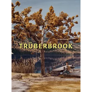 Trüberbrook - Steam version
