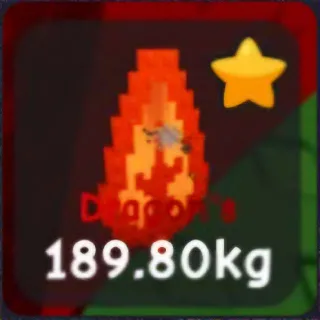 3 Pieces Dragon's Breath 180-200 Kg