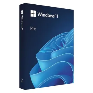 Windows 11 Professional Key Online