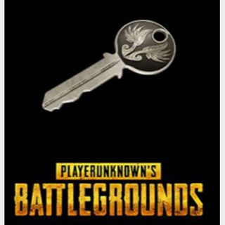 Pubg Early Bird Key Playerunknown S Battlegrounds In Game Items Gameflip