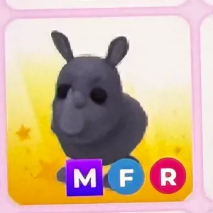 Pet