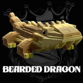 BEARDED DRAGON