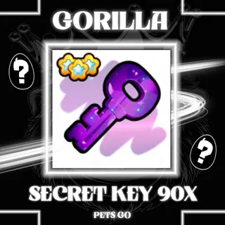 SECRET KEY PETS GO