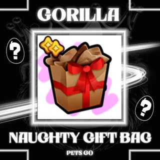 50x NAUGHTY GIFT BAG