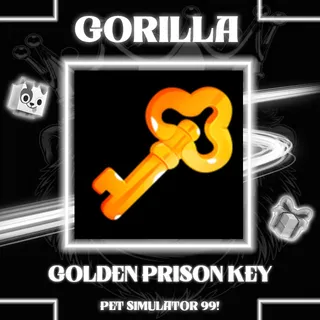 3000x Golden Prison Key