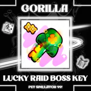 100x Lucky Raid Boss Key