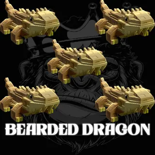 BEARDED DRAGON
