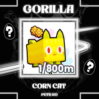 CORN CAT PETS GO