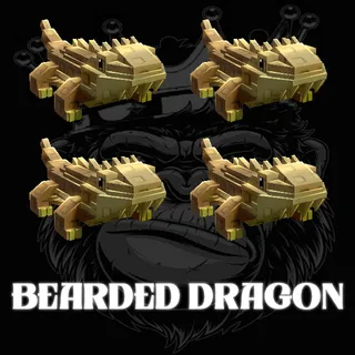 BEARDED DRAGON