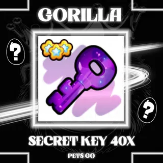 SECRET KEY PETS GO