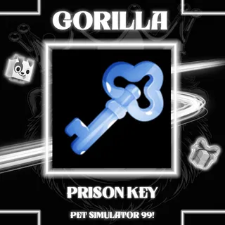 3000x Prison Key