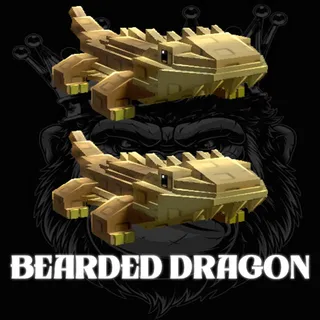 BEARDED DRAGON
