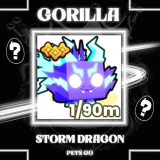 STORM DRAGON PETS GO