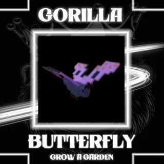 BUTTERFLY