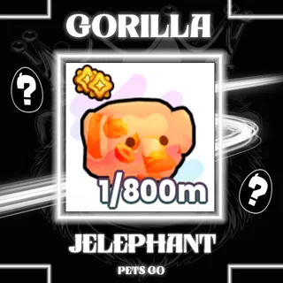 JELEPHANT PETS GO