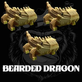 BEARDED DRAGON