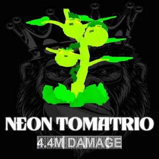 NEON TOMATRIO
