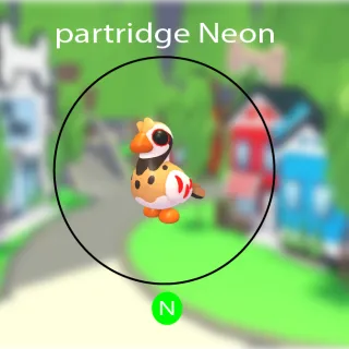 Partridge Neon