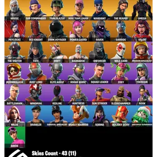 Fortnite Account - 43 Skins Save The World Founders Limited Edition + The Reaper + 1100 V-Bucks ✅ All Platforms 📧 Full Access