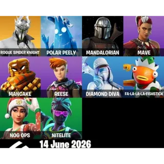 Fortnite Account - 10 Skins Rogue Spider + Mandalorian + Nog Ops ✅ All Platforms