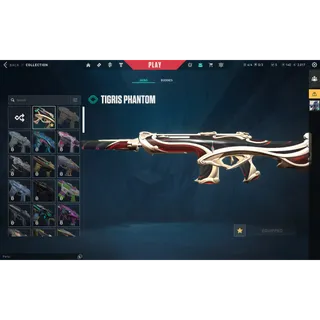 Valorant Account - Tigris Phantom + 10 Agents 📧 Full Email Access