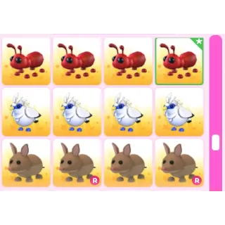 BUNDLE PET 12X ADOPT ME