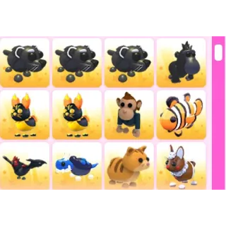 BUNDLE PET 12X ADOPT ME