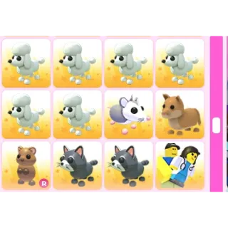 BUNDLE PET 12X ADOPT ME