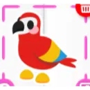 sticker parrot 5x